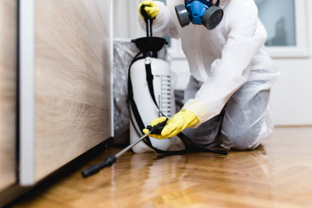 Best Flea Control Services  in Merkel, TX