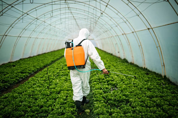 Best Affordable Pest Control Services  in Merkel, TX