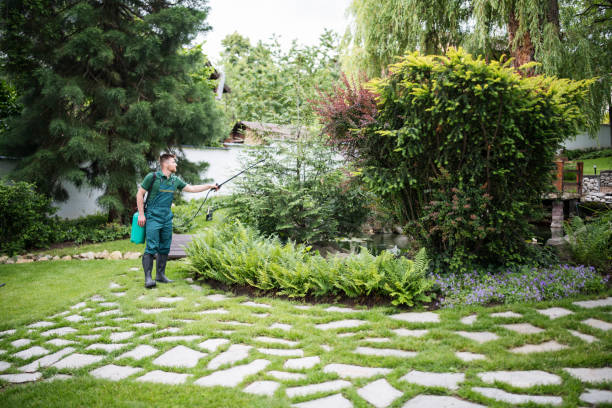 Best Local Pest Control Services  in Merkel, TX