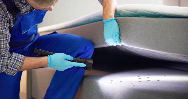 Best Residential Pest Control  in Merkel, TX