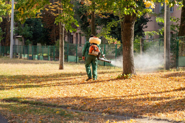 Trusted Merkel, TX Pest Control Experts