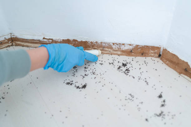 Best Commercial Pest Control Services  in Merkel, TX