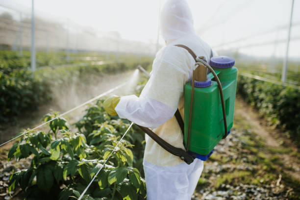 Best Bed Bug Extermination  in Merkel, TX